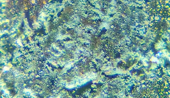 Mikroskop Aufnahme organischer Bremsbelag neu